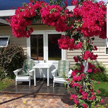Island Cottage Sedgefield Exteriör bild